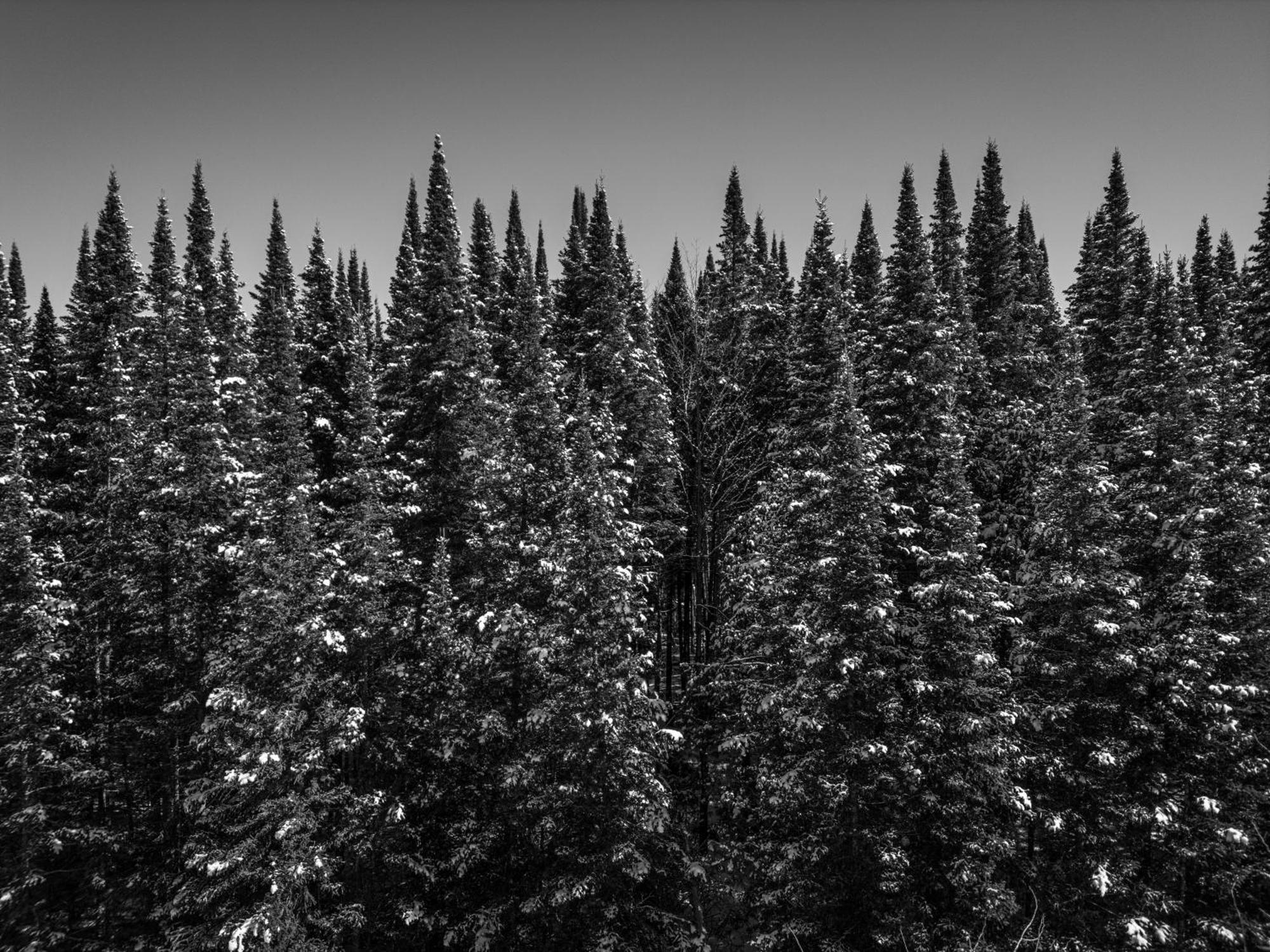 Otsego Resort Gaylord Eksteriør bilde